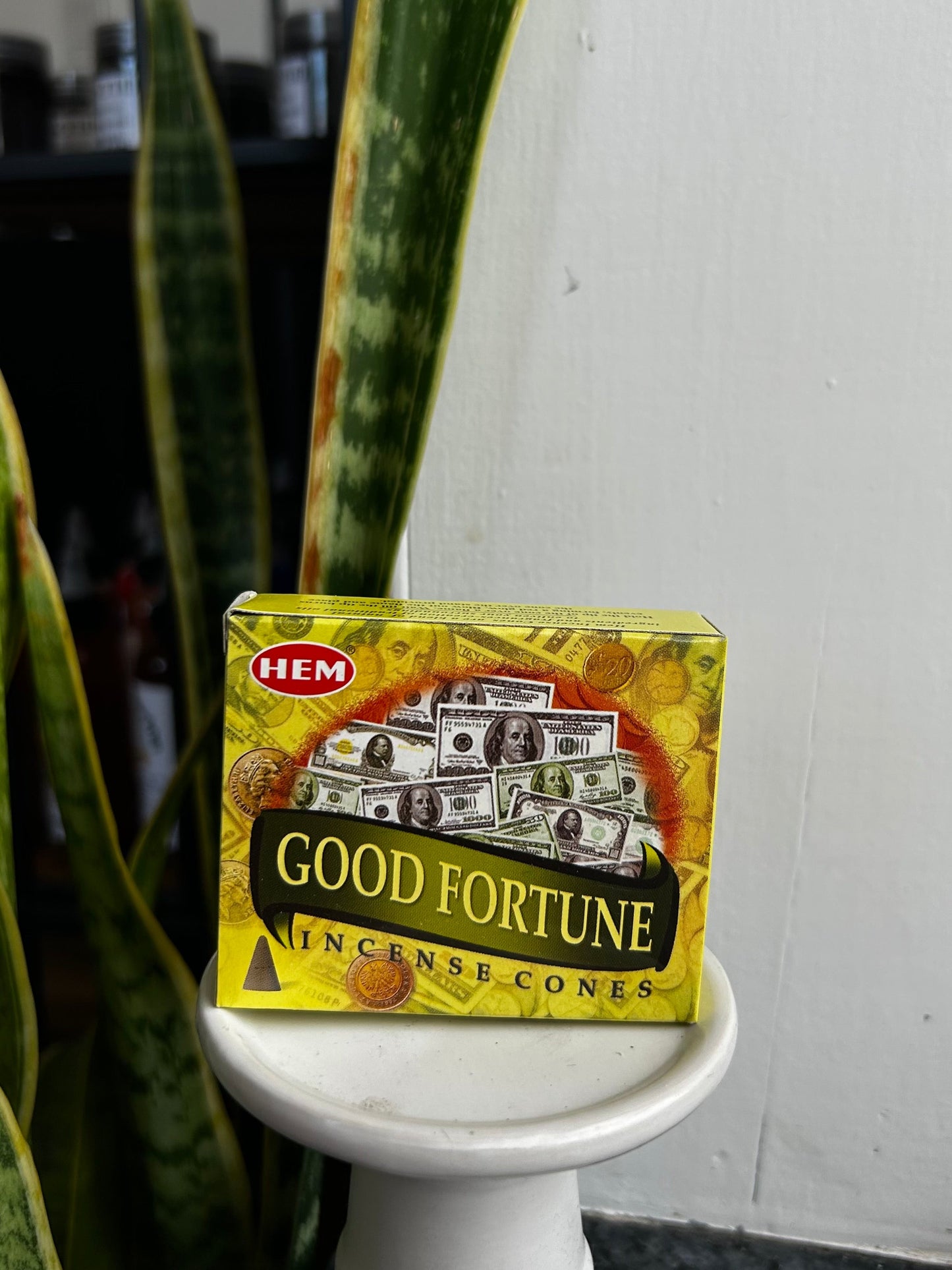 Good Fortune