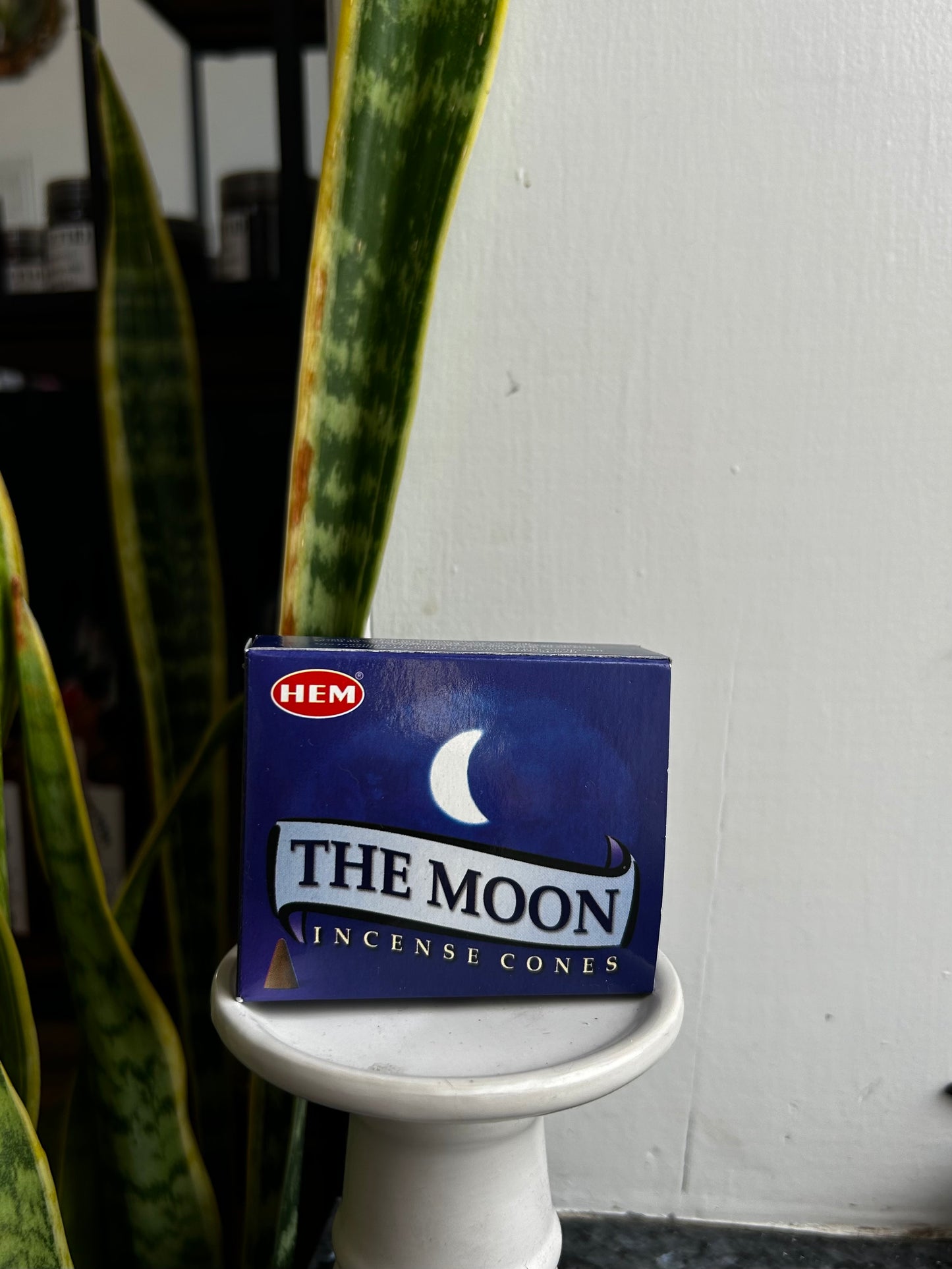 The Moon